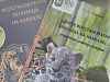«Роза Хутор» поддержит развитие проекта по реинтродукции переднеазиатского леопарда на Кавказе, фото 1 - круглогодичный курорт «Роза Хутор»