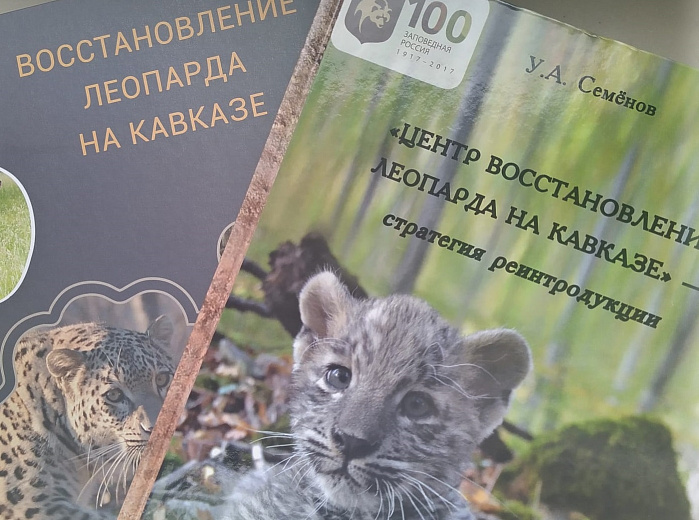 «Роза Хутор» поддержит развитие проекта по реинтродукции переднеазиатского леопарда на Кавказе, фото 1 - круглогодичный курорт «Роза Хутор»